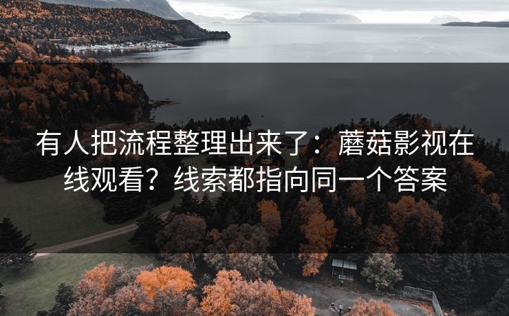 有人把流程整理出来了：蘑菇影视在线观看？线索都指向同一个答案  第1张