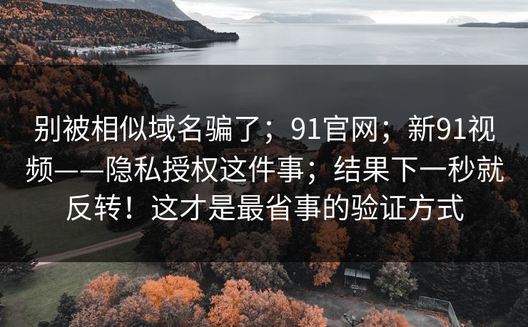 别被相似域名骗了；91官网；新91视频——隐私授权这件事；结果下一秒就反转！这才是最省事的验证方式